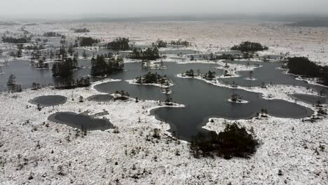 Vista-Aérea-De-Drones-De-Un-Grupo-De-Lagos-Pantanosos-Congelados-En-Invierno