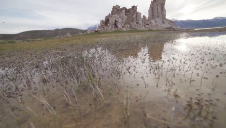 slow motion ultra wide of flies at mono lake state park