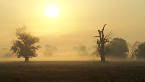 Shot-of-morning-mist-over-open-field-at-sunrise