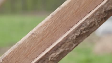 Transporting-logs-of-timber-on-wooden-ramp-at-deconstruction-site,-close-up