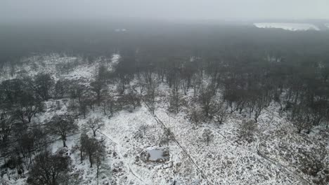 Winter-Snow-covered-forest-foggy-misty-background-Aerial-footage-4K