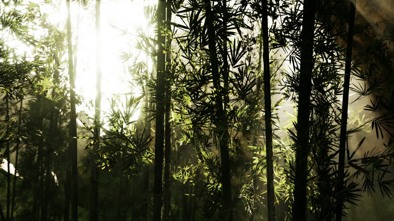 paisaje de un árbol de bambú en una selva tropical