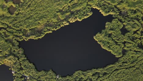 Vista-Aérea-Del-Paisaje-Del-Lago