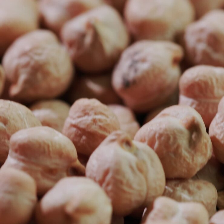 Chickpea grains 3