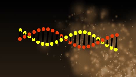 animación de una cadena de adn girando sobre luces brillantes