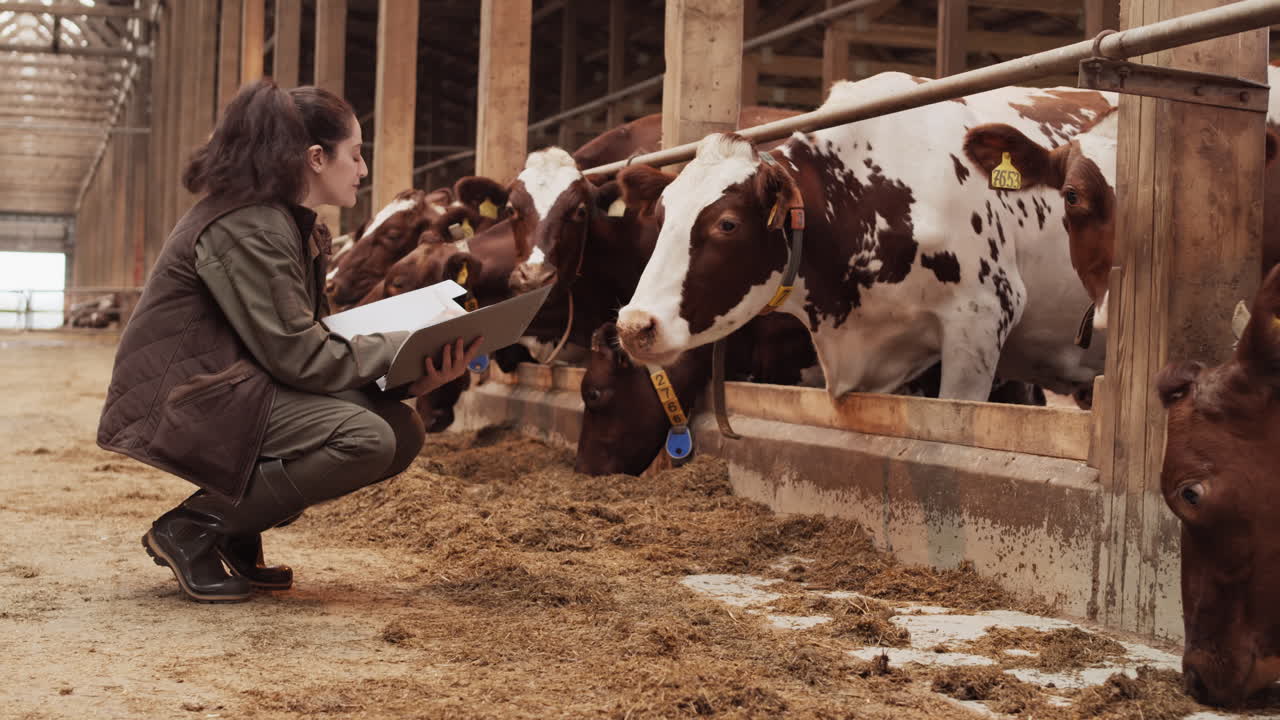 Happy Female Farmer Looking at Cows