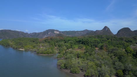 Manglares-Río-Vista-Exuberante-Vegetación-Cielo-Nublado