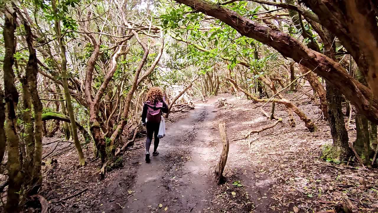 A hiker walking through a lush forest path surrounded by twisting trees in Anaga, Spain