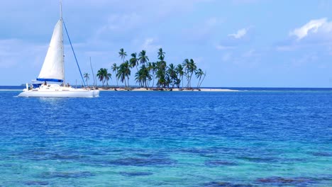 sailing catamaran in front of tropical caribbean island