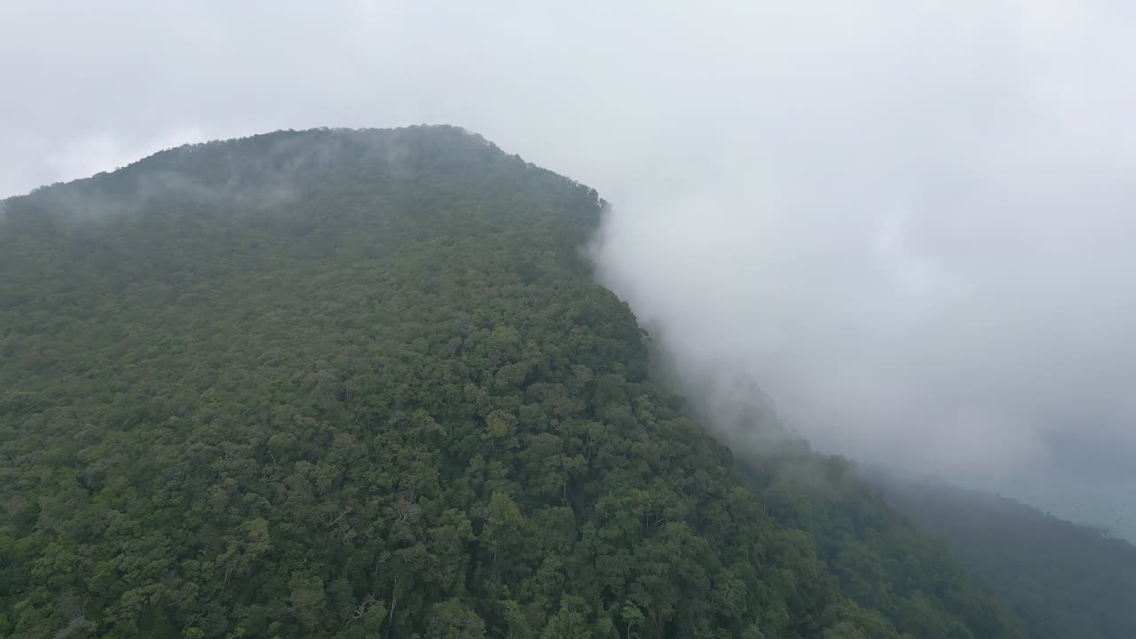 Jungle peak shrouded in low laying cloudes.