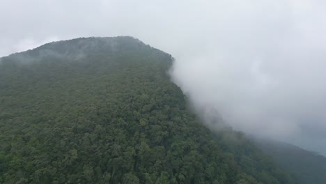 jungle peak shrouded in low laying cloudes.
