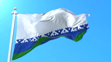 flag of the federal subject of nenets autonomous okrug, russia. loop