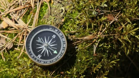 traveller compass on the grass in the forest