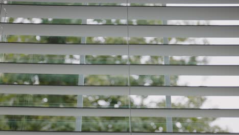 Still-shot-looking-outside-window-with-focus-on-blinds