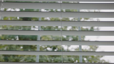 foto fija mirando fuera de la ventana con foco en las persianas