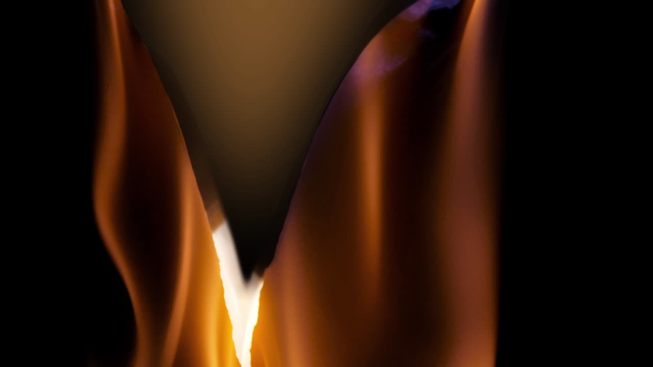 Abstract Flowing Orange and Brown Shapes on Black Background