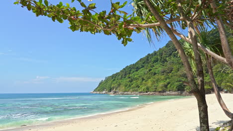 Salvaje-Isla-Tropical-Vacía-Playa-De-Arena-Blanca