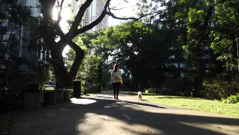 City-parks-with-walkaway-at-early-morning-,