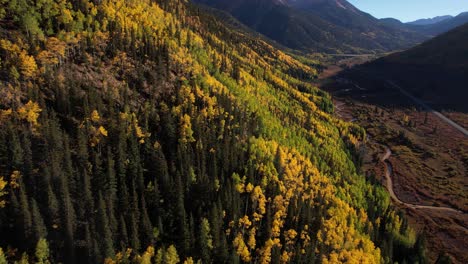 aerial view of yellow aspen and green conifer trees on sunny autumn day in countryside landscape of colorado usa