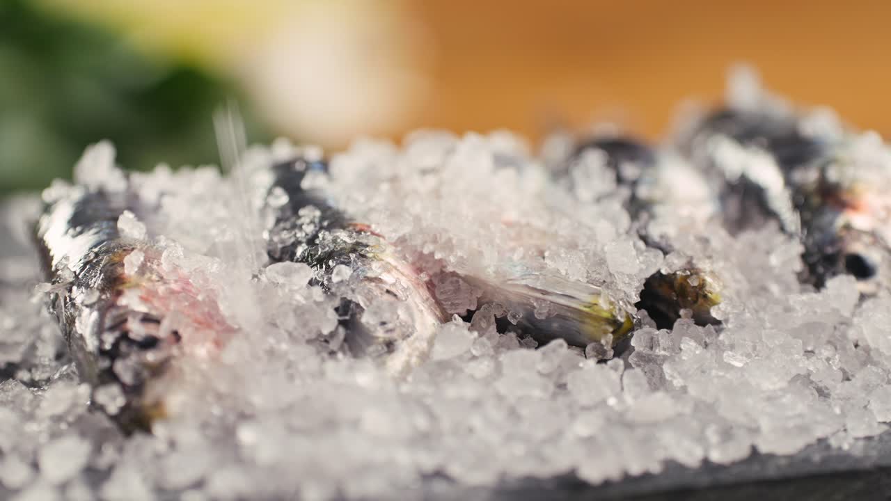 얼음에 담긴 신선한 안초비