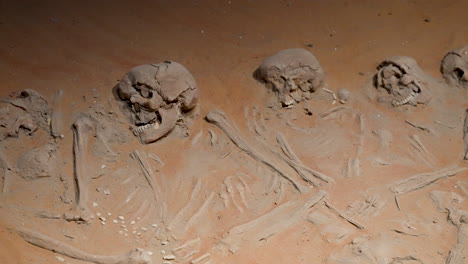 uncovered skeletons of prehistoric humans uncovered in the mleiha archaeological site in sharjah, united arab emirates