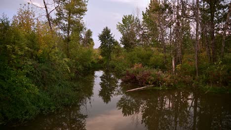 Reconstructed-wetlands-in-downtown-Calgary,-Alberta