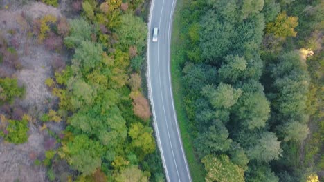 Cars-driving-on-mountain-road-through-a-forest-with-green-trees-and-bushes