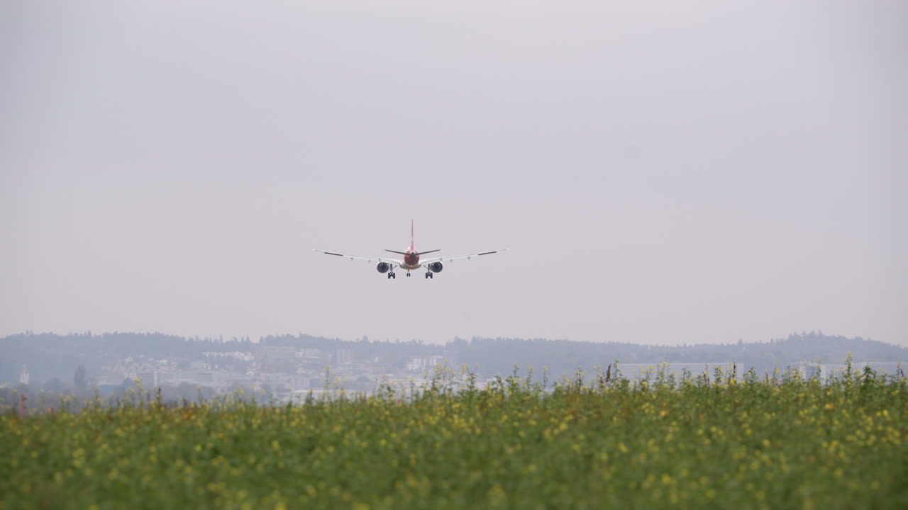 여객기가 꽃 위를 날아오르고 착륙하고 있다