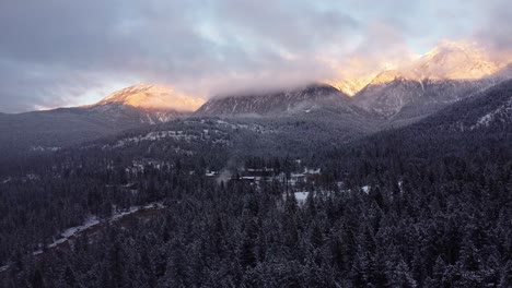 Aerial-shot-of-the-frozen-forest-in-the-Canadian-Rocky-Mountains