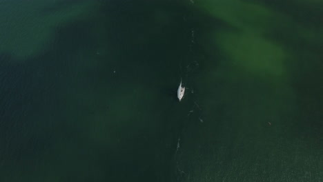 Sailboat-underneath-San-Francisco-Oakland-Bay-Bridge-Aerial-4K