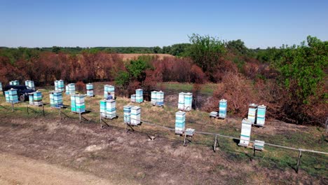 bee apiary -  man  walking in countryside