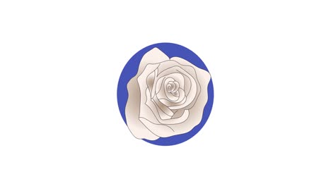 animación de rosas blancas y formas redondas azules sobre fondo blanco