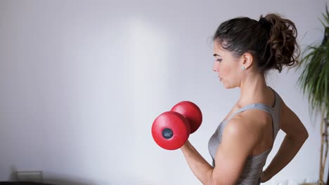 deportista fuerte haciendo ejercicio con mancuernas sobre un fondo gris