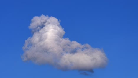 linda nube blanca aislada que se deforma contra el cielo azul, estática