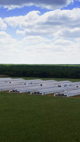 poultry farm in a field. modern industrial and agricultural buildings. view from above. vertical video