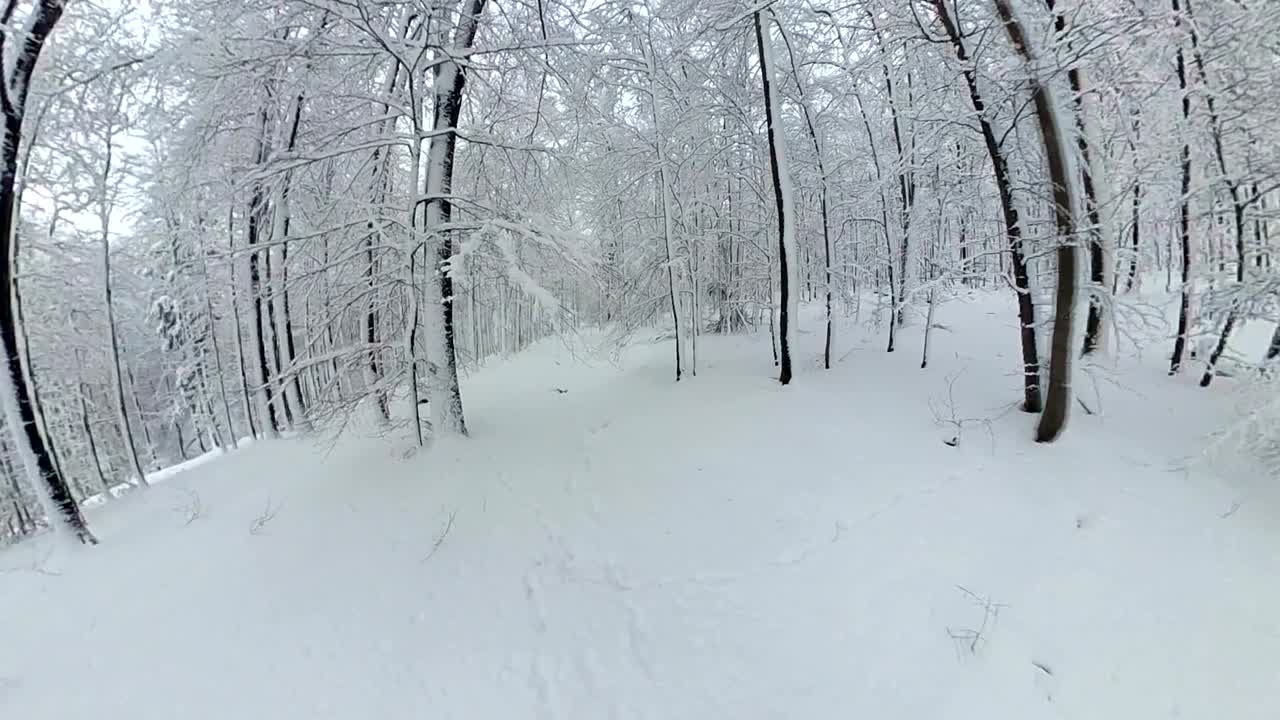 아름다운 겨울 숲을 고 있는 남자, 360° 영상, 360° vr, 작은 행성 효과