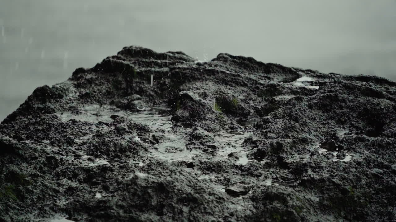 Wet Rock in Rain