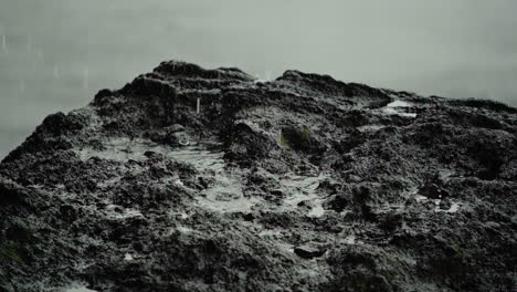 wet rock in rain