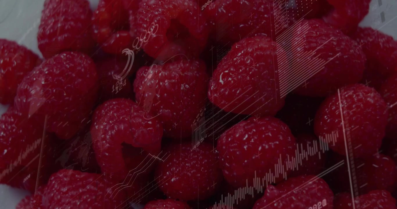 Frambuesas mostrando una superposición translúcida de análisis digital, con gráficos de líneas y de barras