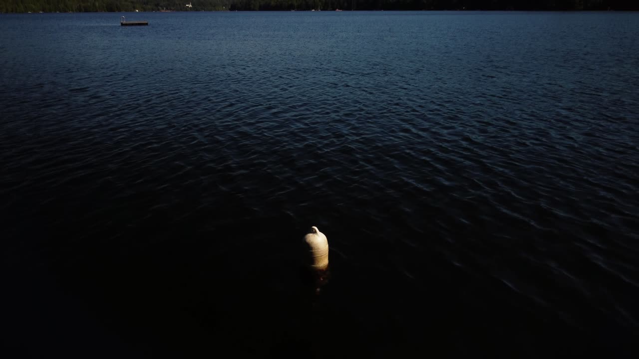 revelar la toma de un lago desde una boya de amarre flotando en un día de verano