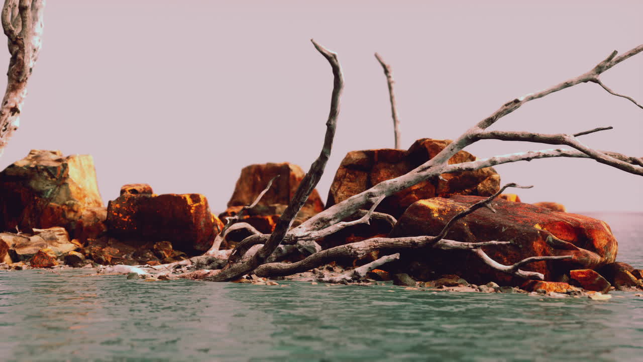 안개 물결을 둘러싼 바위