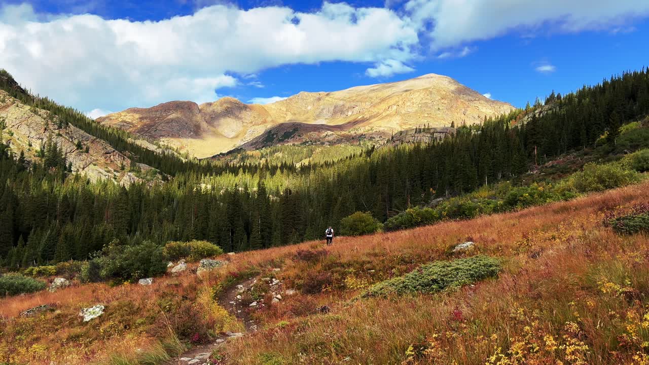 Mt Elbert Mount Massive hiker hiking trail wilderness Collegiate Peaks summer fall autumn Aspen Tree peak colors Rocky Mountains Colorado summit hiker hiking 14er Sawatch Range Buena Vista static shot