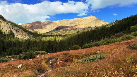 mt elbert mount massive hiker hiking trail wilderness collegiate peaks summer fall autumn aspen tree peak colors rocky mountains colorado summit hiker hiking 14er sawatch range buena vista static shot
