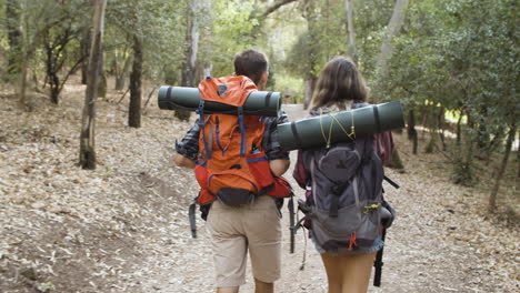 dois viajantes ativos com mochilas andando na floresta