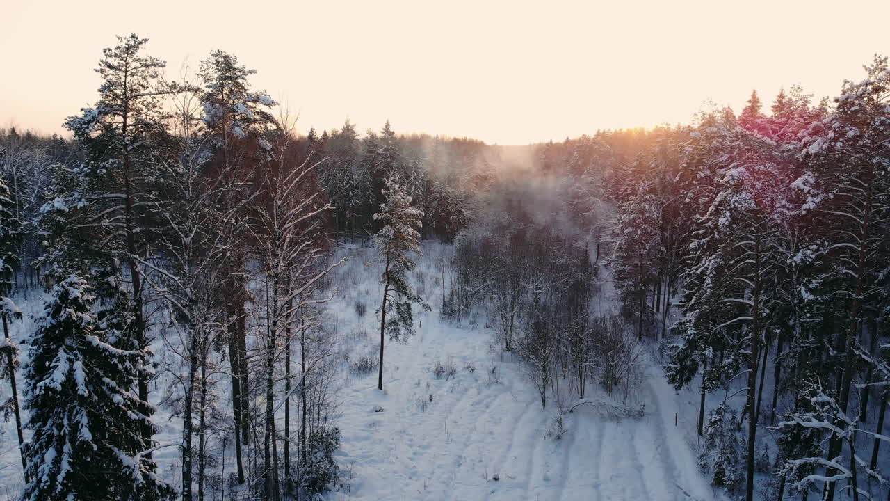 Luftopptak av flyvning mellom vakre snødekte trær midt i villmarken i Lappland, Finland.