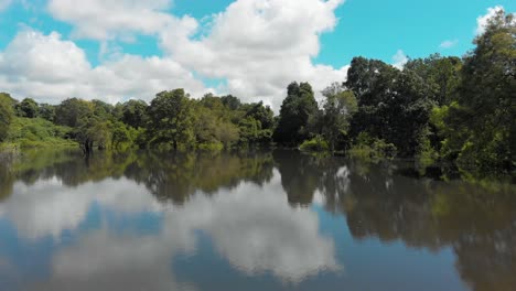 antena: vista al lago en sigiriya revelando un denso bosque y selva, sri lanka