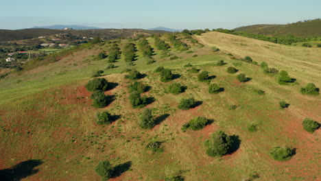 Aerial:-Agriculture-in-the-Algarve,-Portugal