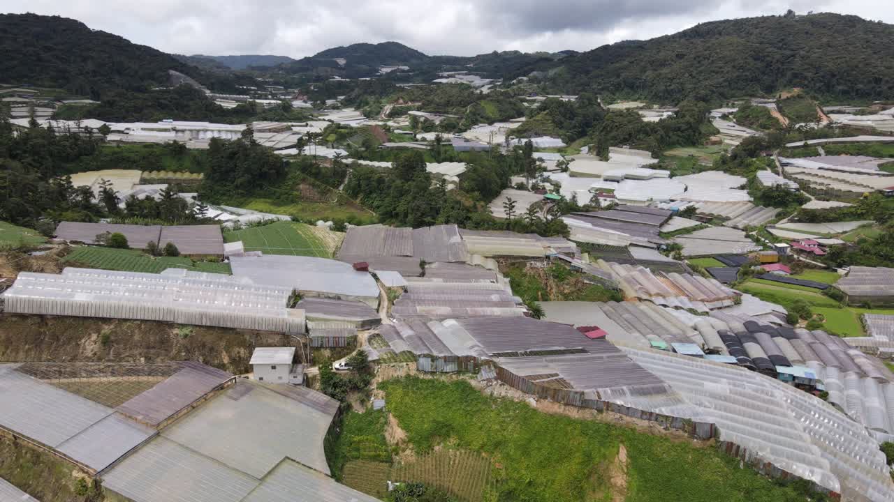 말레이시아의 카메론 하이랜드 지역 내의 브린창 지역의 일반 풍경