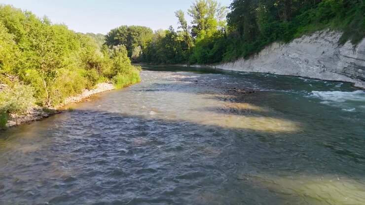 Ampia inquadratura statica di un fiume che scorre oltre alberi verdi e una scogliera di roccia bianca.