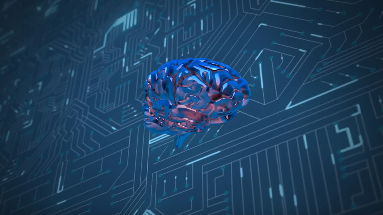 Brain and digital circuit